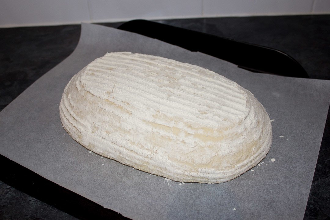 A fully proved and shaped no knead bread loaf on a sheet of baking paper ready for the oven
