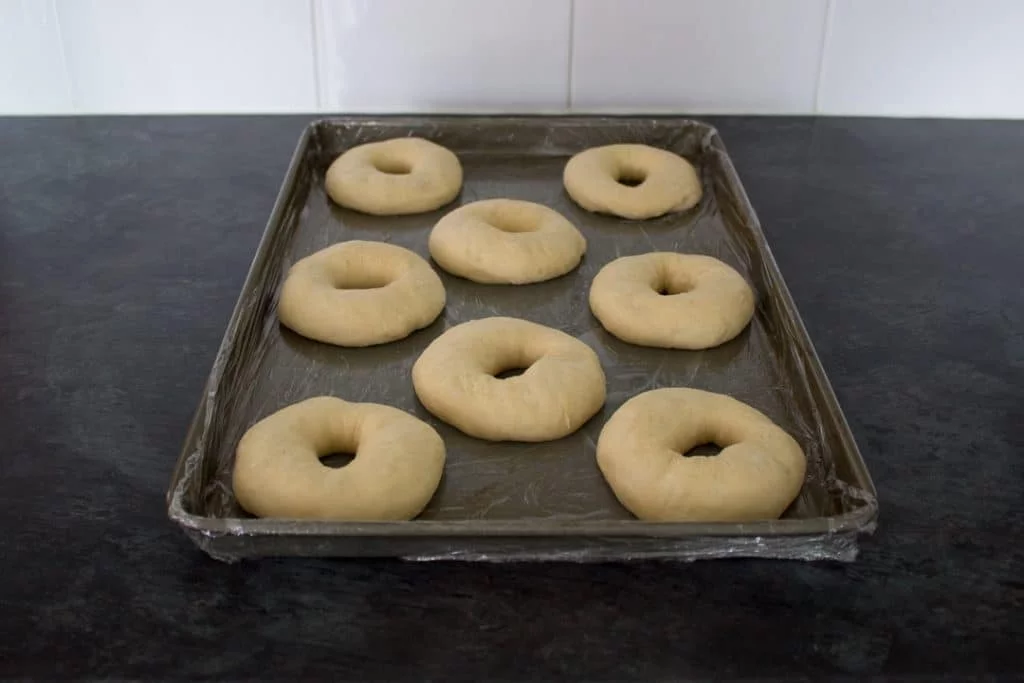unbaked homemade doughnut rings on a baking tray after being proved