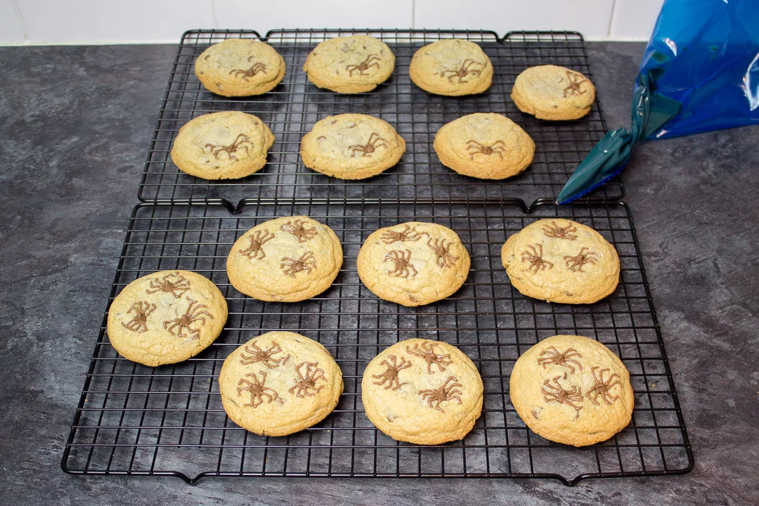 chocolate chip cookies with chocolate spider design on top