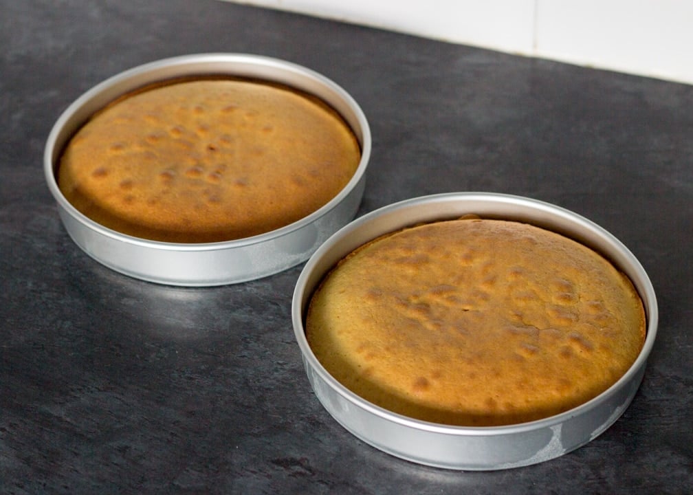Baked rhubarb and custard cake in two sandwich tins