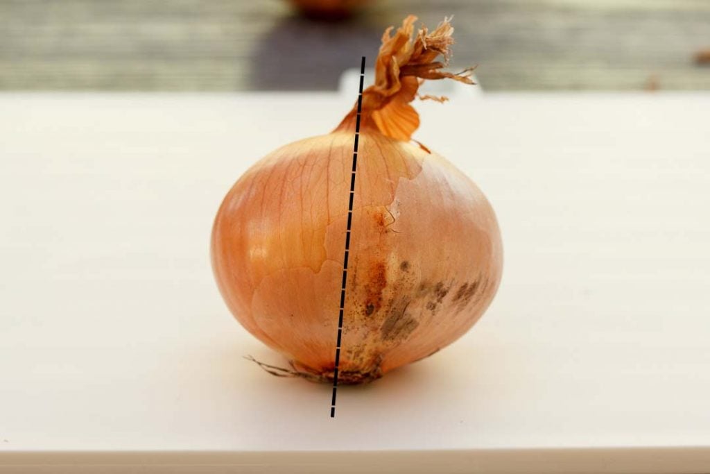 How to Cut Onion Without Crying! Kitchen Mason