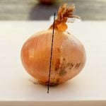 An onion with a cut line on it
