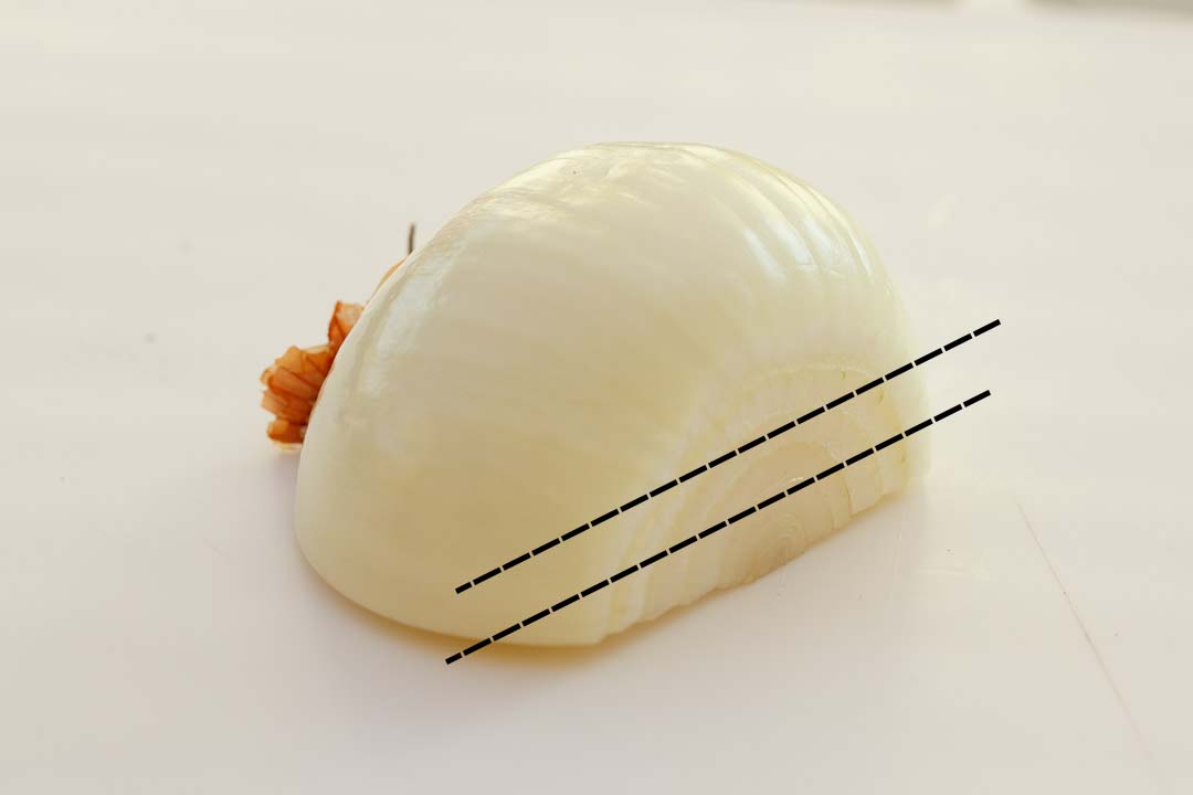Half a peeled onion with cut lines on 
