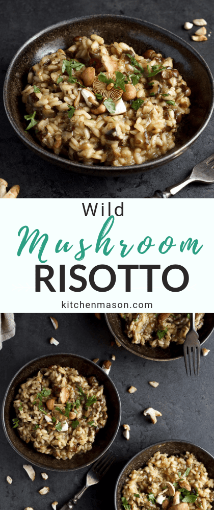 wild mushroom risotto in a bowl topped with fresh parsley
