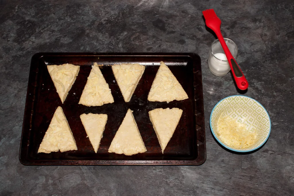 Cheese scone triangles evenly spaced apart on a baking tray, brushed with milk and topped with grated cheese.