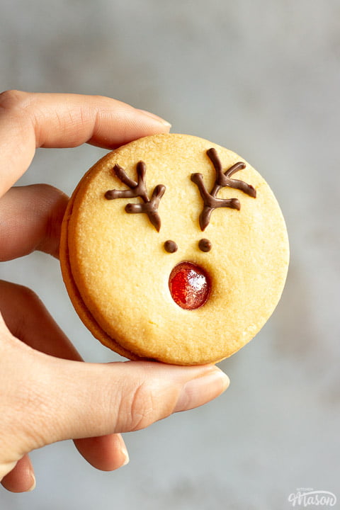Someone holding a reindeer cookie up against a grey/off white backdrop