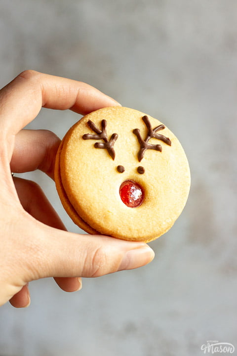 Someone holding a reindeer cookie up against a grey/off white backdrop