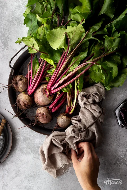 A bunch of whole beetroot complete with leaves covered in soil on a dark grey metal tray with a light brown linen napkin resting at the side and a hand holding it. There is also an open jar of pickled beetroot and a couple of stacked grey metal plates with a wooden fork on top in the background. Set over a brushed grey backdrop.