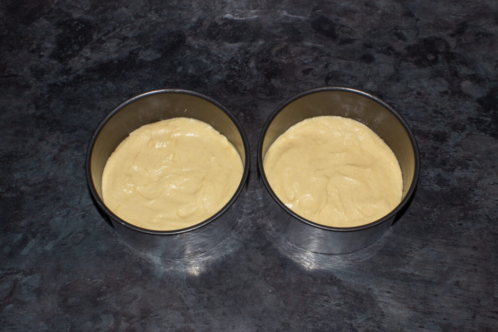 Cake batter divided between 2 round tins