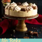 A whole no bake Baileys cheesecake on a cake stand with a bottle of Baileys behind it