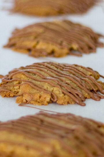Caramel cookies drizzled in melted chocolate
