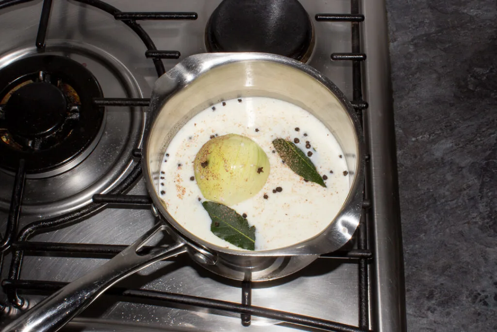 Milk, onion and spices in a saucepan on the stove top.